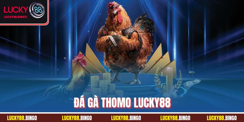 Đá Gà Thomo Lucky88 - Sân Cá Cược Đẳng Cấp Cho Kê Thủ - tx8