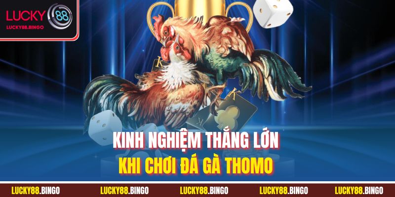 Đá Gà Lucky88 - Sân Chơi Kịch Tính Cho Đam Mê Bất Tận - tx8