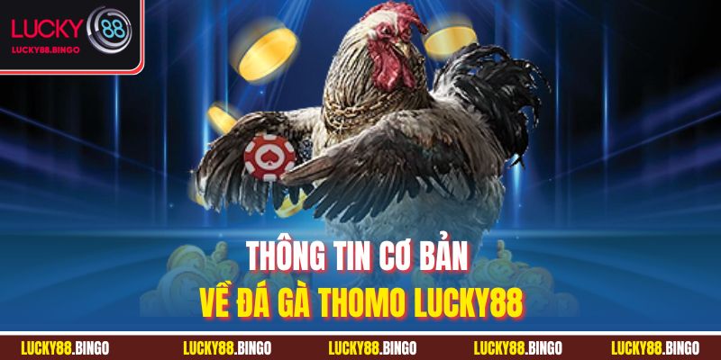 Đá Gà Thomo Lucky88 - Sân Cá Cược Đẳng Cấp Cho Kê Thủ - tx8