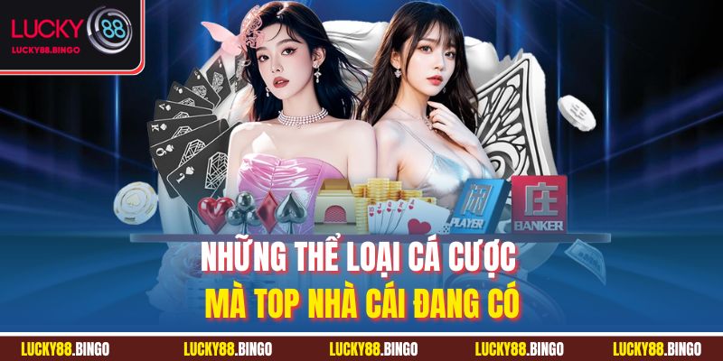 Top Nhà Cái Uy Tín 2026 - Đánh Giá Lựa Chọn Tốt Nhất - tx8