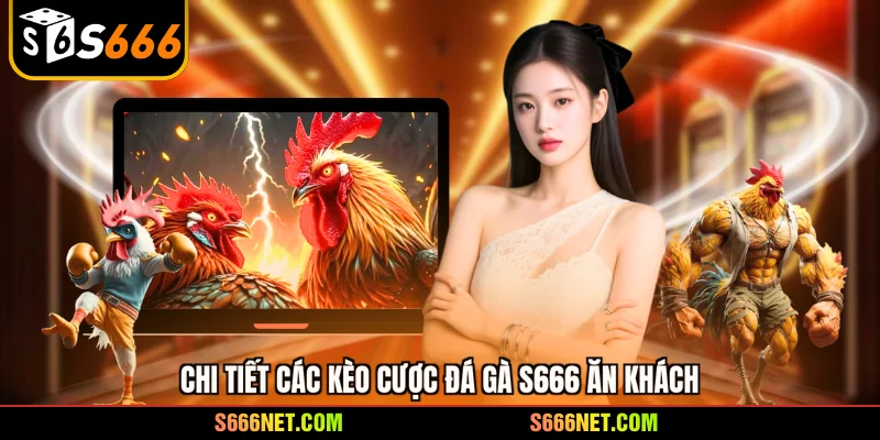 Đá gà S666 - Đấu trường rực lửa, mãn nhãn với siêu kê số 1 - tx8