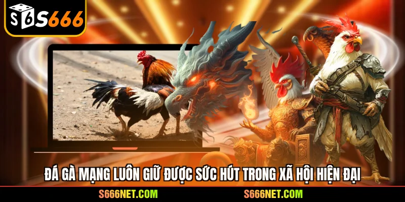Đá gà mạng - Sức hút mãnh liệt và kinh nghiệm chơi hiệu quả - tx8