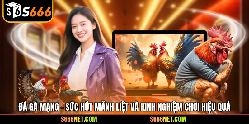 Đá gà mạng - Sức hút mãnh liệt và kinh nghiệm chơi hiệu quả - tx8