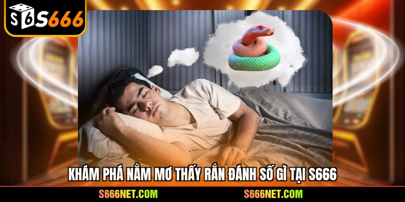 Nằm mơ thấy rắn đánh số gì - Giải mã nhanh đón cơ hội lớn - tx8