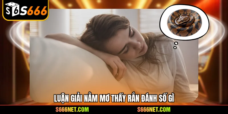 Nằm mơ thấy rắn đánh số gì - Giải mã nhanh đón cơ hội lớn - tx8