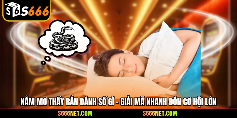 Nằm mơ thấy rắn đánh số gì - Giải mã nhanh đón cơ hội lớn - tx8