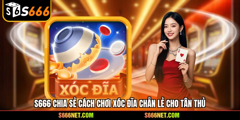 Cách chơi xóc đĩa chẵn lẻ - 3 bí kíp vàng để luôn thắng lớn - tx8