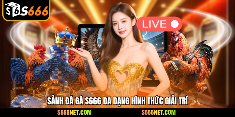 Đá gà S666 - Đấu trường rực lửa, mãn nhãn với siêu kê số 1 - tx8