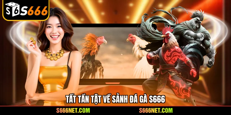 Đá gà S666 - Đấu trường rực lửa, mãn nhãn với siêu kê số 1 - tx8