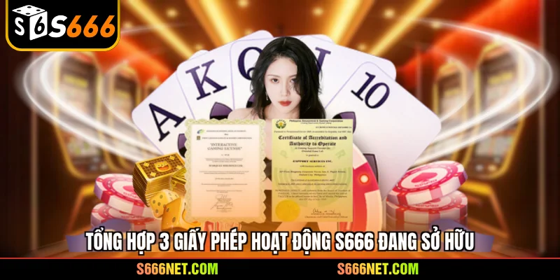 Giấy phép hoạt động S666 - 3 bảo chứng uy tín toàn cầu - tx8