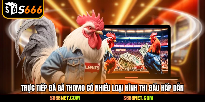 Trực tiếp đá gà Thomo - Đấu trường kịch tính số 1 châu Á - tx8