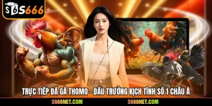 Tin Tức S666 Mới Nhất 2026 – Cập Nhật Khuyến Mãi & Game Hot - tx8