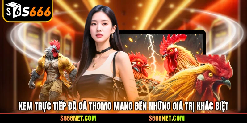 Trực tiếp đá gà Thomo - Đấu trường kịch tính số 1 châu Á - tx8